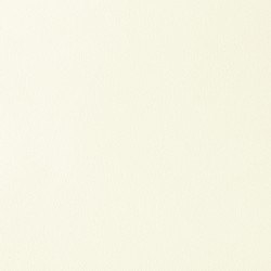 Обои FN26025 Parati&amp;Parati Uno 1.06x10